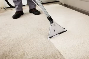 Secrets of Successful Carpet Cleaning Services: What You Should Know