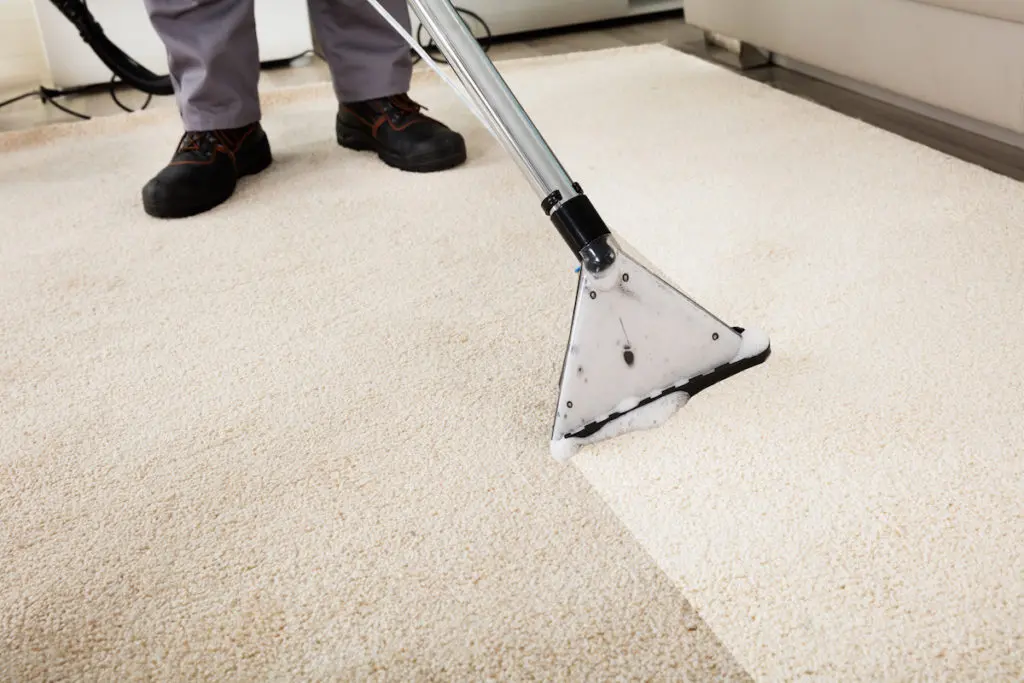 Secrets of Successful Carpet Cleaning Services: What You Should Know